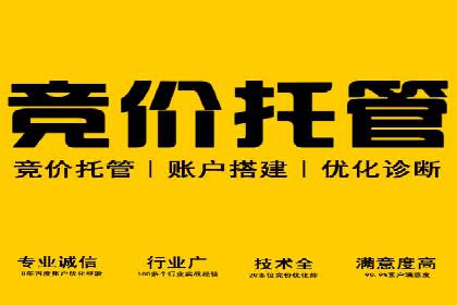 百度推广代运营公司成功案例：提升网站转化率的方法